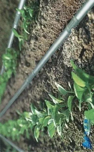 滴灌施肥情况水肥一体化模式