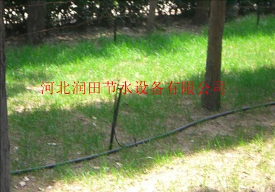 地插微喷组合一亩地多少钱