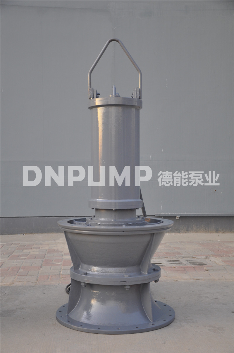 施工工程潜水轴流泵
