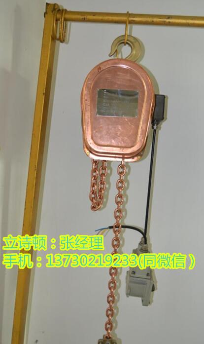 Dhs不锈钢环链电动葫芦-DHP不锈钢电动葫芦跑车