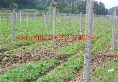 山西省汾西县灌溉施肥罐多少钱一套
