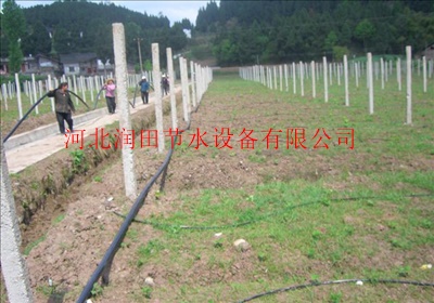山西微喷带哪里有卖的