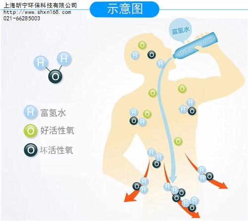 富氢水杯/富氢水杯包装/富氢水杯原理