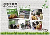 中小学托管中心加盟还是这家巴适