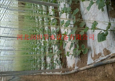山西山阴县蔬菜滴灌产品直销
