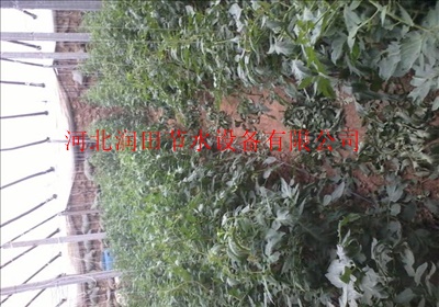 山西应县有生产滴灌管带的厂家吗