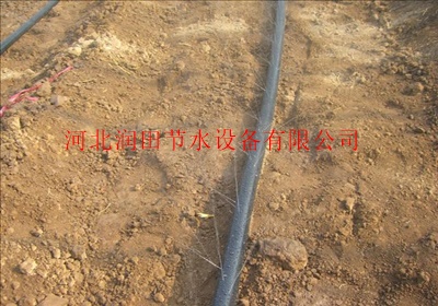 山西朔州区微喷带多少钱一米