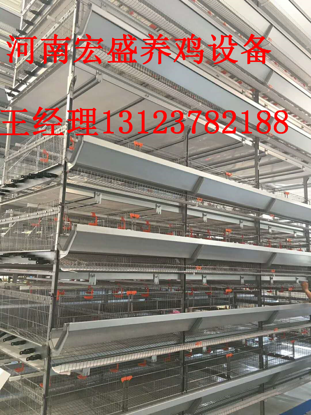 河南省宏盛全自动化H型层叠式蛋鸡笼厂家定做直销