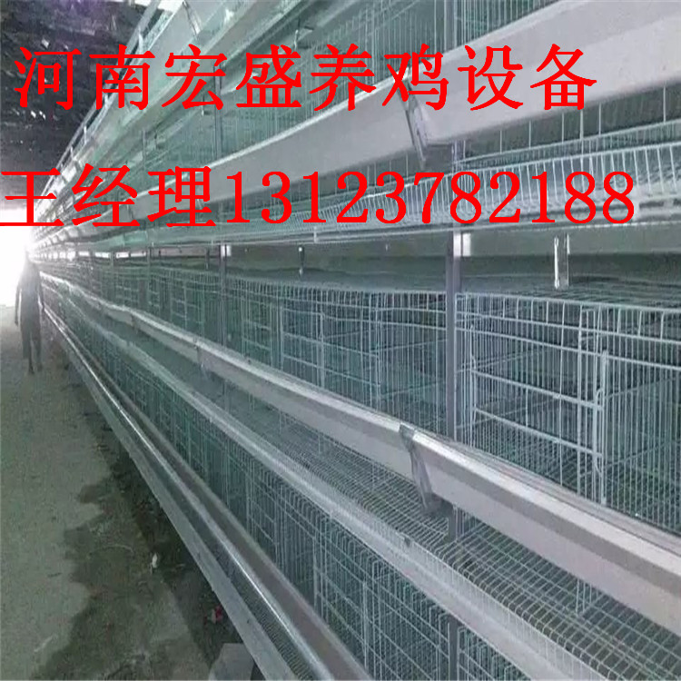 河南省宏盛专业定做各种鸡笼全自动养鸡设备