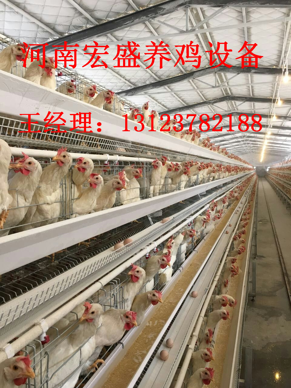 河南省宏盛养鸡设备阶梯式蛋鸡笼厂家直销好处在哪里