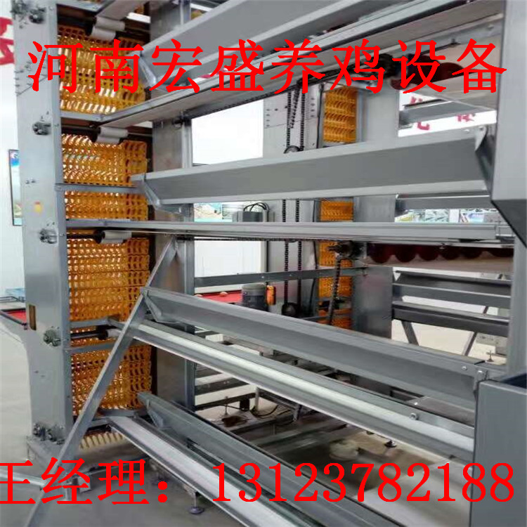 河南宏盛专业生产捡蛋机全自动捡蛋机生产厂家直销