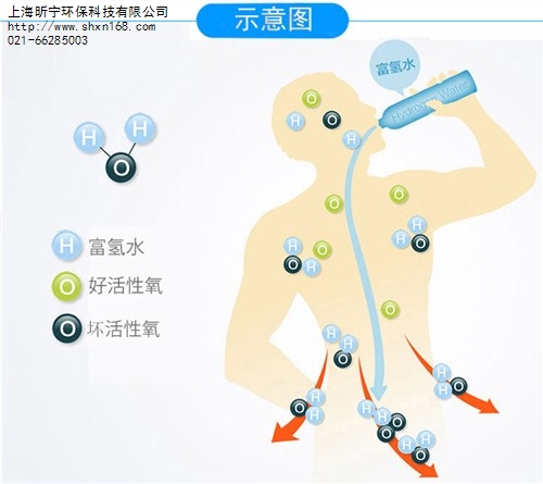 上海富氢水杯,上海富氢水杯作用,上海富氢水杯效果宜健氢芯品牌提供