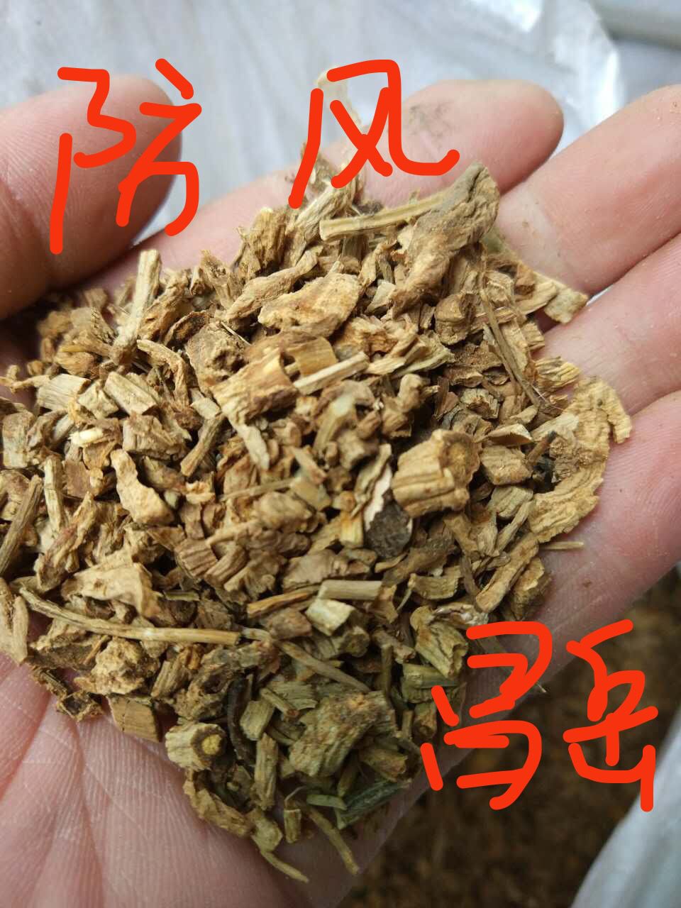 昌岳现货提供  防风提取物