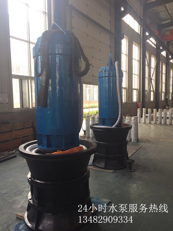 供应上泵泵业QZB潜水轴流泵