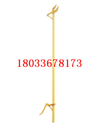 供应月子鸡|福建具有口碑的月子鸡生产基地