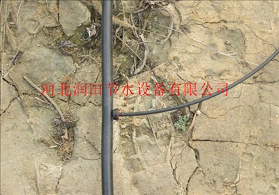 种植果树使用什么滴头比较实用