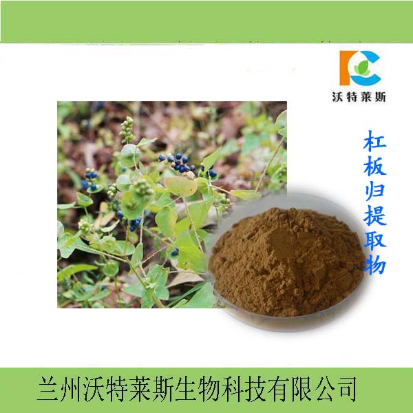 杠板归提取物 黑白草粉 梨头刺提取物