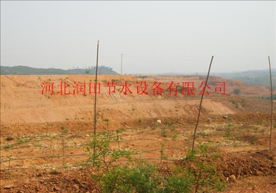 葡萄果树滴灌 滴灌管滴灌带生产厂家