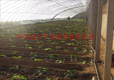 膜下滴灌采用什么滴灌带比较好