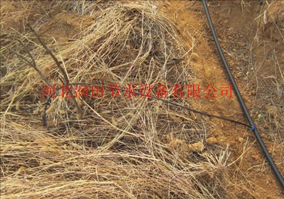 果树小管出流一亩地需要几百块