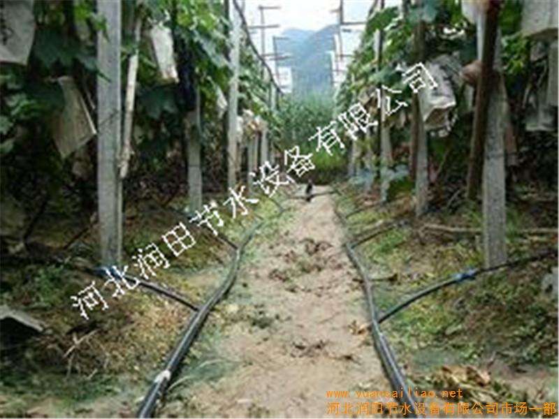 小管出流灌溉系统组成价格