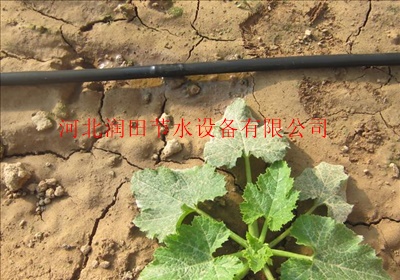 蔬菜滴灌怎么安装使用