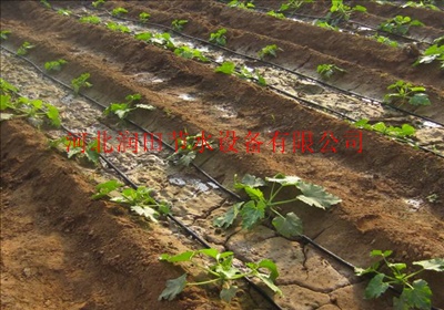 蔬菜滴灌 大棚滴灌大田滴灌