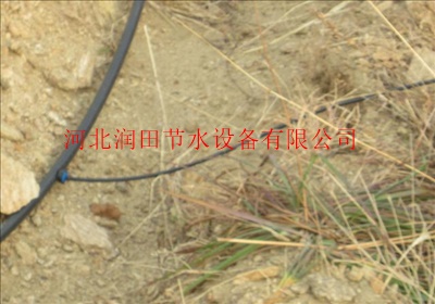 果树滴灌设备河北沧州生产批发