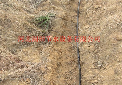 果树滴灌一亩地多少钱