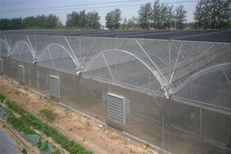 徐州薄膜连栋温室工程价格实惠厂家