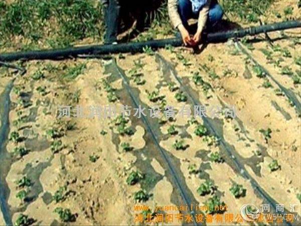 大棚滴灌节水设备安装使用