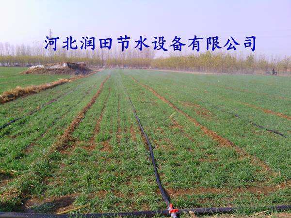 网式过滤器使用方便价格实惠