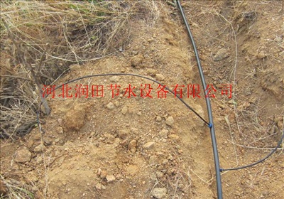果树滴灌设备生产批发 河北邯郸滴灌管厂家