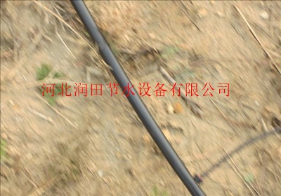 河北邯郸果树滴灌厂家 滴灌PE管报价