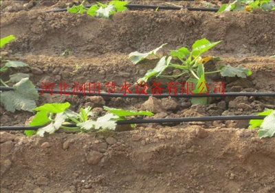滴灌带规格型号及安装使用介绍