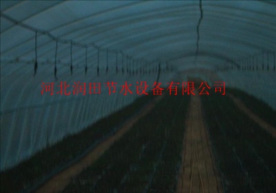 雾化微喷头在大棚温室倒挂微喷系统中的应用