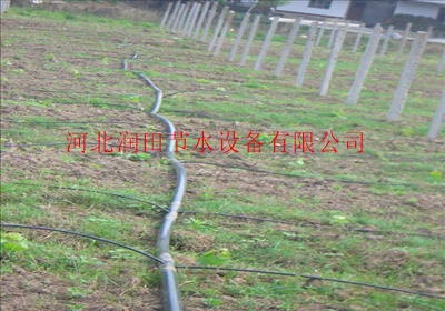 玉米滴灌 小麦微喷灌设备河北沧州厂家