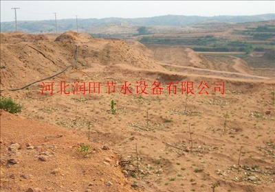 压力补偿式滴头常用的规格流量是多少