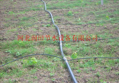 PE管 果树滴灌中用到的PE管有哪些