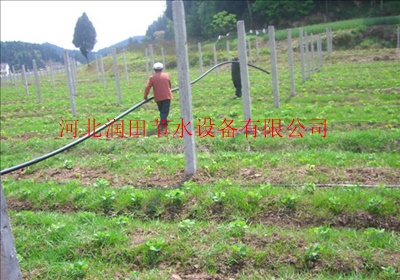 大葱滴灌设备 滴灌带怎么卖的哪里有卖的
