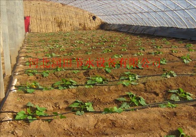 河北滴灌设备生产厂家 滴灌设备哪家强