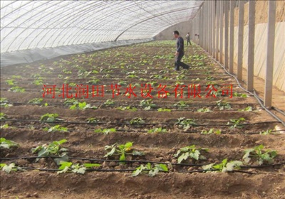 滴灌系统设备安装使用方法介绍