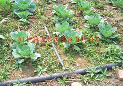 滴灌带滴灌管各类节水灌溉设备