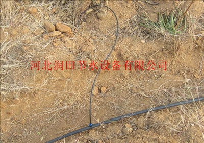 柚子树各类果树滴灌设备 PE管分流管