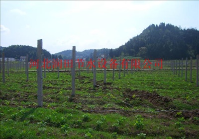 草莓滴灌技术介绍 滴灌带如何安装铺设