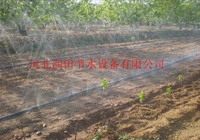 微喷带软带旁通生产批发