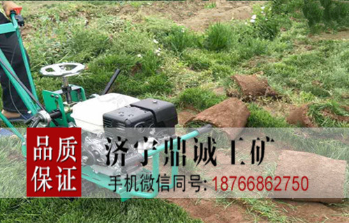 安徽宣城机械式四季青草坪移植机 高产高效汽油起草皮机 本田汽油起草机价格 人工养殖草坪移植机
