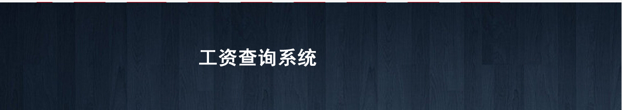 长垣县工资查询软件到河南中起