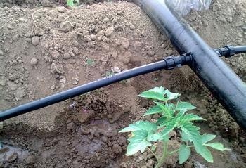 灌溉节水设施滴灌带滴灌管设备