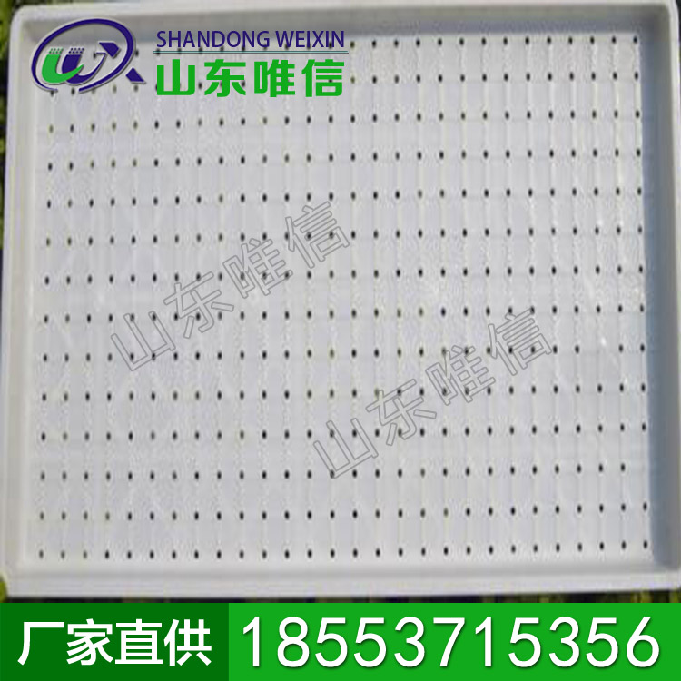 育秧盘        厂家直销         欢迎选购